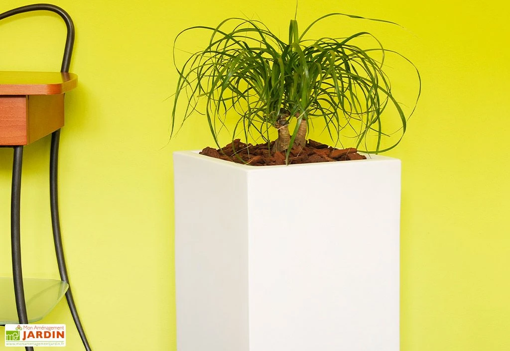 Pot De Fleurs En Polyéthylène Atlantis – 30 X 30 X 47 Cm – Image 5