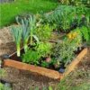 Carré Potager En Bois Douglas Non Traité Premium – 73 L