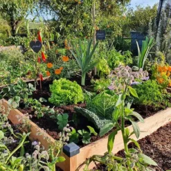 Carré Potager En Bois Douglas Non Traité Premium – 174 L