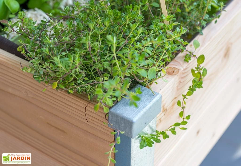 Carré Potager Sur Pied En Bois Douglas 19 Mm – 75 X 80 X 80 Cm – Image 3