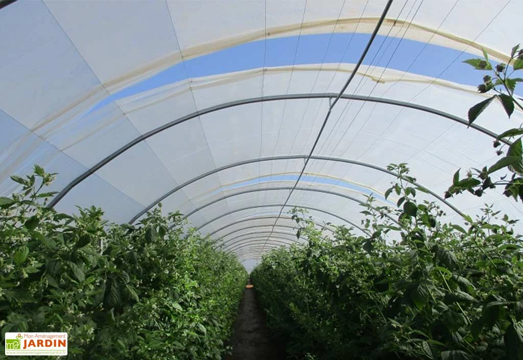 Serre Professionnelle Richel En Acier Et Polyéthylène 8 X 30 M – Image 2