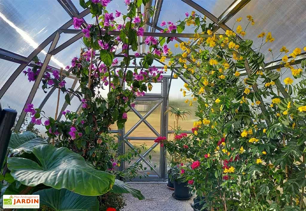 Serre De Jardin En Polycarbonate Et Acier Galvanisé – Image 4