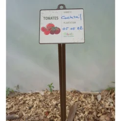 Mikado Lot De 6 Jalons Pour Semis Tomates Avec étiquettes – 45 Cm