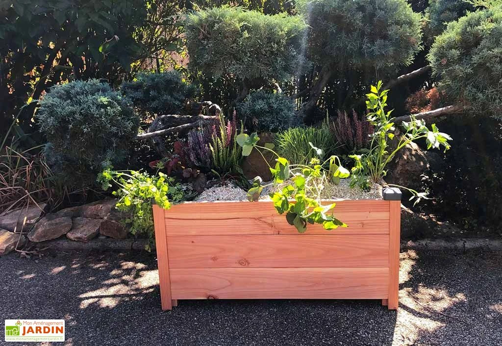 Bac à Fleurs Rectangulaire En Bois Douglas Non Traité - Premium – Image 2