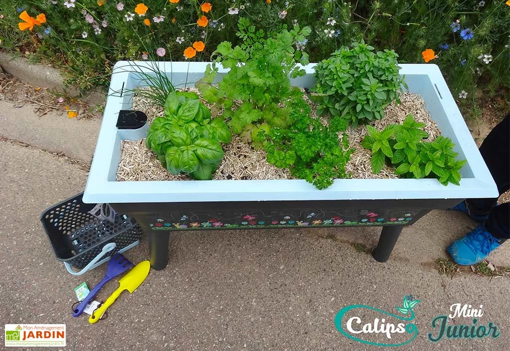 Jardinière Enfant Calipso Mini Junior + Panier Et Acc. – Bleu Pastel – Image 4