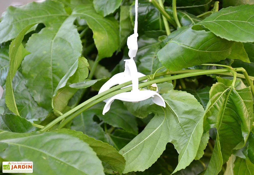 Kit De Palissage Pro Pour Serre De Jardin Palram – Image 2