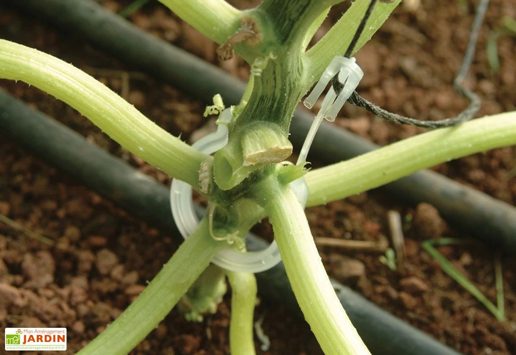 Kit De Palissage Pro Pour Serre De Jardin Palram – Image 3