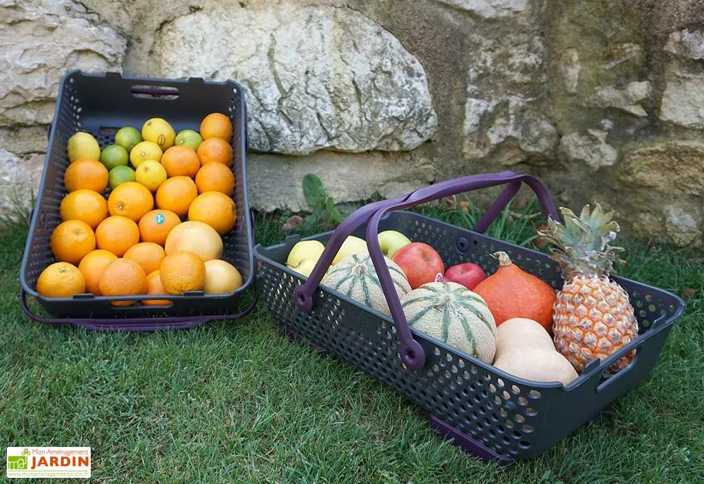 Paniers De Récolte Kajo 20L – 58 X 38 X 15 Cm (lot De 2) – Image 5