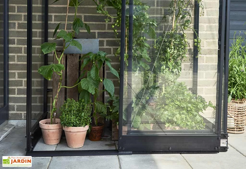 Halls Serre De Jardin Adossée En Verre Trempé Qube Lean-to 24 – 0,8 M² – Image 2