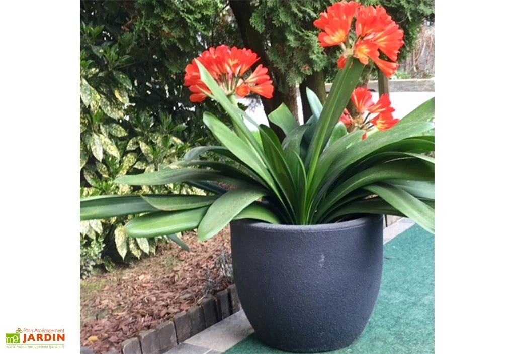 Roto Pot De Fleurs Extérieur En Polyéthylène Et Bois Ø30 X 25 Cm Rumba S – Image 2