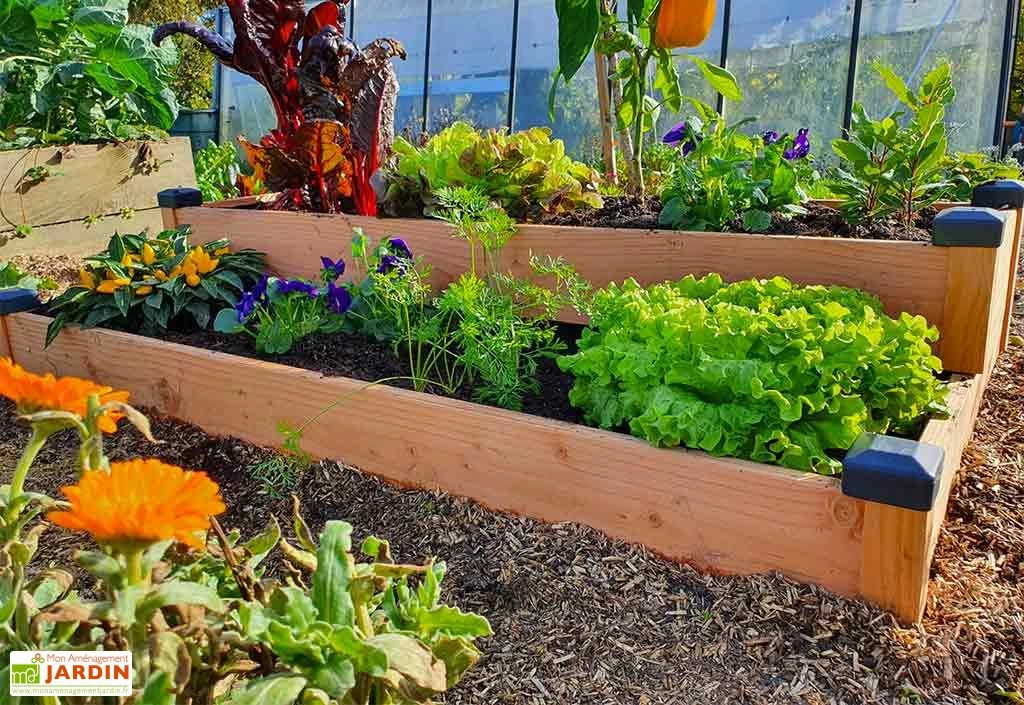 Carré Potager En Bois Douglas Non Traité Sur Deux étages Premium – 136 L – Image 2