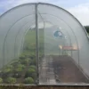 Serre Tunnel Tonneau En Polyéthylène 18 M² - Essentielle 6 X 3 M
