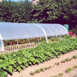 Serre Tunnel Tonneau En Polyéthylène 44 M² - Mini 12 X 3,7 M