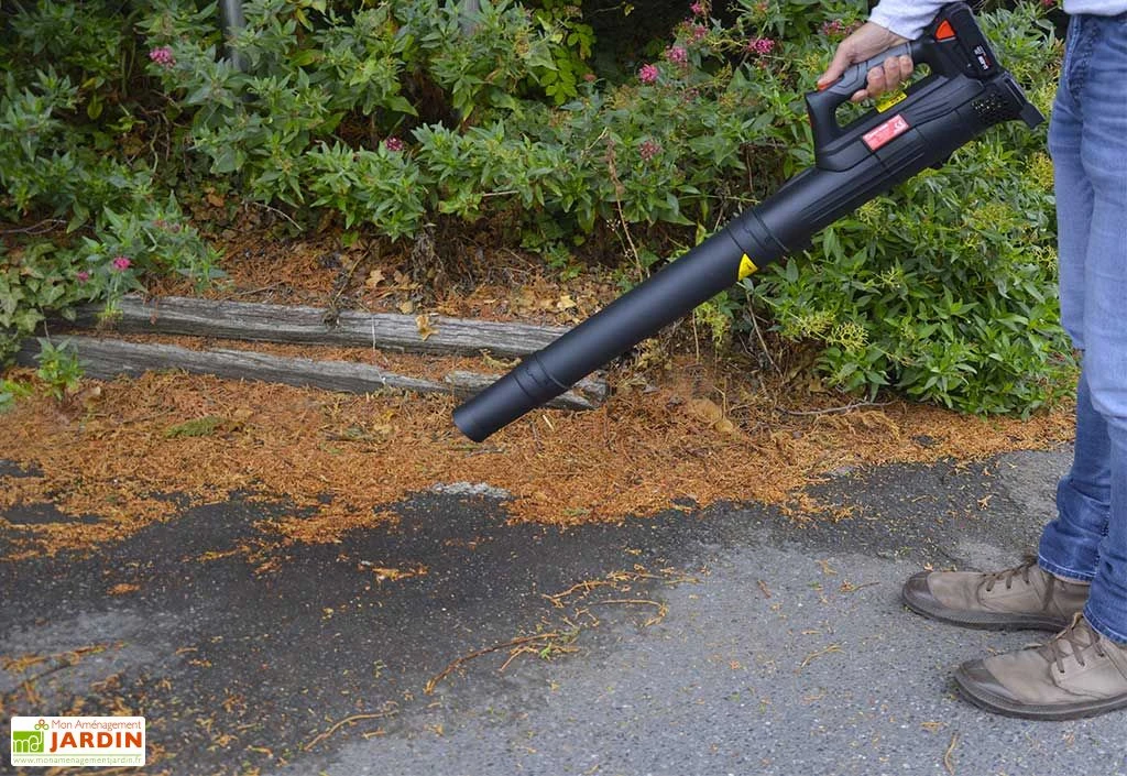 Souffleur à Feuilles Électrique Sans Fil Batterie Lithium 20 V – Image 2