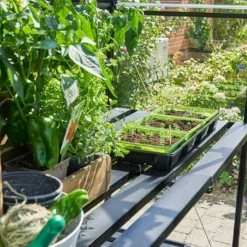 Table De Jardinage Aluminium Pour Serre Halls Qube 610 (64 X 306 Cm)