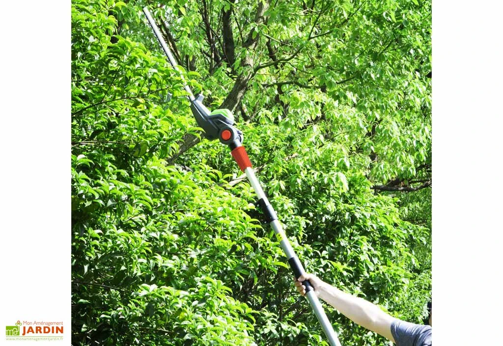Taille Haie Sur Perche Sans Fil PowerShared 20V - Sans Batterie – Image 5