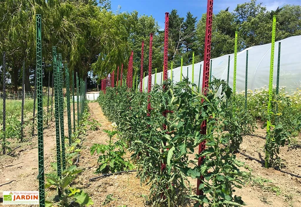 Tuteur Avec Attaches Mikado Anthracite 150 Cm (Lot De 6) – Image 3