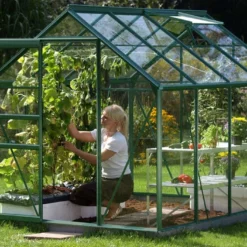 Serre De Jardin En Verre Trempé Lams 4,9 M² - Allium Vert