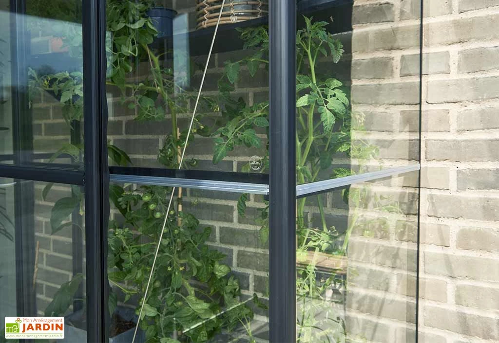 Halls Serre De Jardin Adossée En Verre Trempé Qube Lean-to 24 – 0,8 M² – Image 4